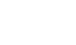 Ömer Lütfü Özgül